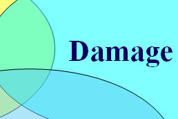 SLICC Damage Index